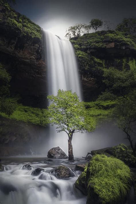 India's leading Professional Photography Online Community