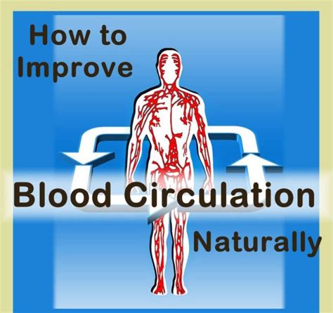 Image result for Blood Circulation Problems