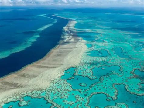 Climate report flags Great Barrier Reef devastation - Now, a ghost town ...
