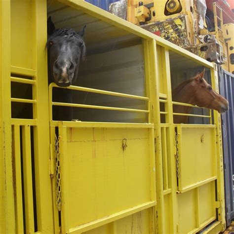 Image result for Container Types