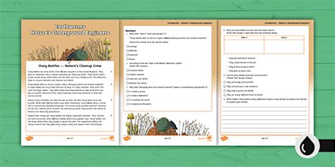 EQAO Grade 6 Literacy Prep Worksheet 1 (teacher made)