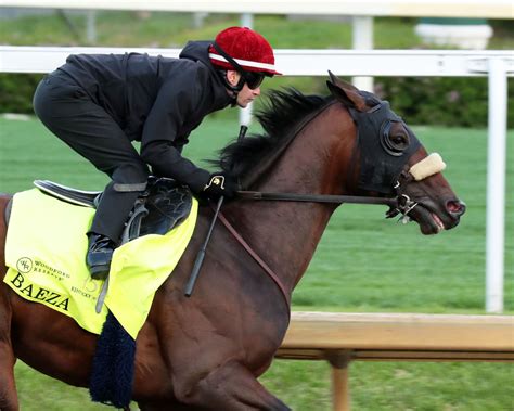 Pedigree fun facts: 2025 Kentucky Derby | News | Kentucky Derby