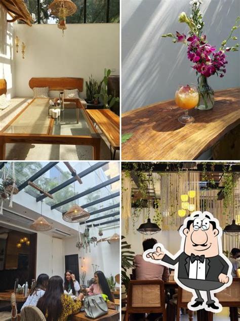 The Boho, Surat - Restaurant menu, prices and reviews