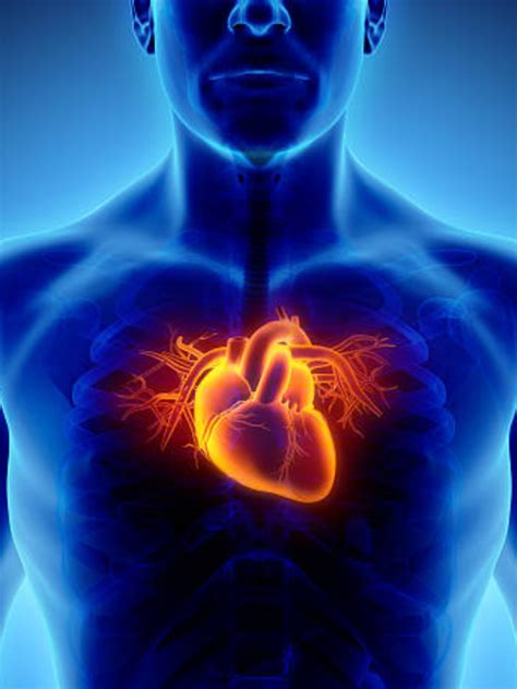 Heart disease risk increases on Monday, finds study: How to mitigate ...