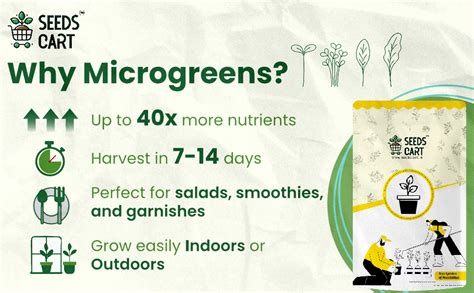 Seeds Cart 7 in 1 Microgreens Seed Combo – 7 Varieties | Broccoli ...