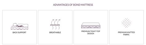 Amore Bond Dual Comfort 5.5 inch High Resilience & Rebonded Foam ...