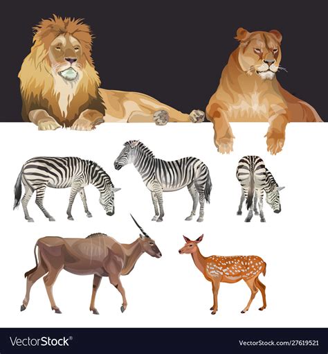 Image result for African Predators vs Predators