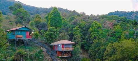 GREEN LAND RESORT (Ranipuram) - Guesthouse Reviews & Photos - Tripadvisor