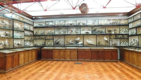DORMAN MUSEUM - All You Need to Know BEFORE You Go 2026 (with Photos ...