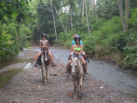 JACO GUIDES (2026) All You Need to Know BEFORE You Go (with Photos ...