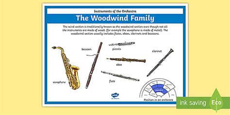 Orchestra Instruments Woodwind Family Poster (teacher made)