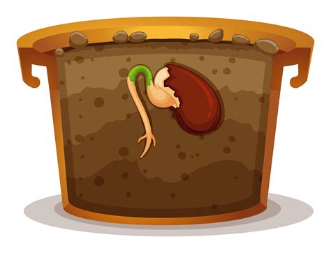 Planting Seeds Clip Art