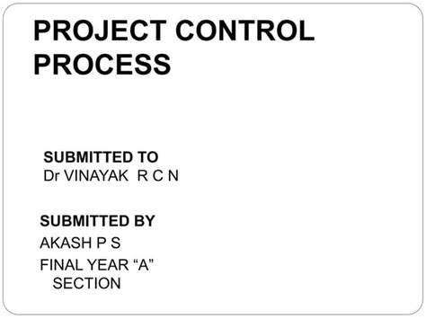 Image result for Project Control Process