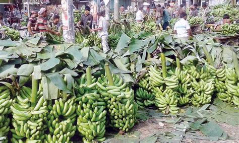 Major banana producing divisions in Bangladesh - production and area ...
