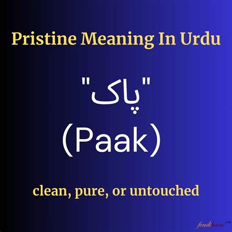Pristine Meaning in Urdu "پاک" (Paak)