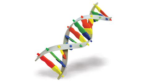 DNA Model Tutorial 的图像结果