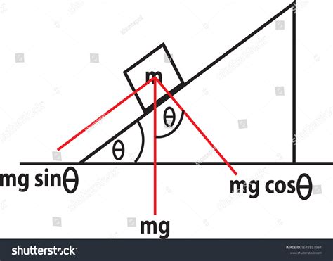 Force Vector Graph 的图像结果