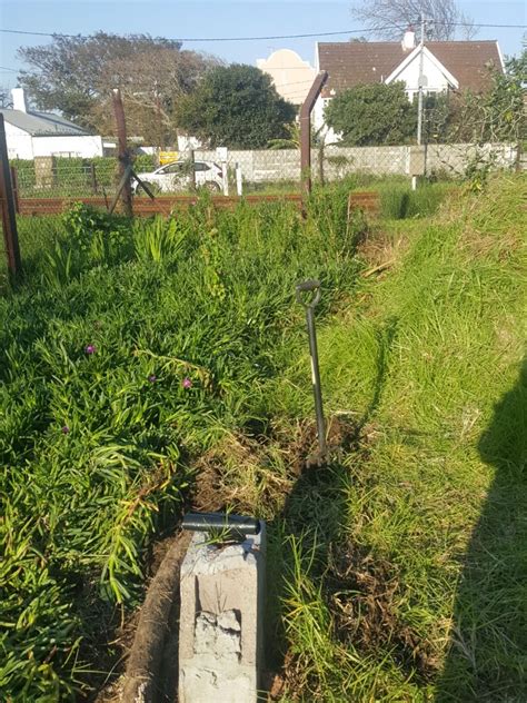 Communitree - Garden Maintenance