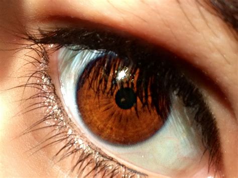 brown eyes! | Brown eyes aesthetic, Brown eyes, Beautiful brown eyes