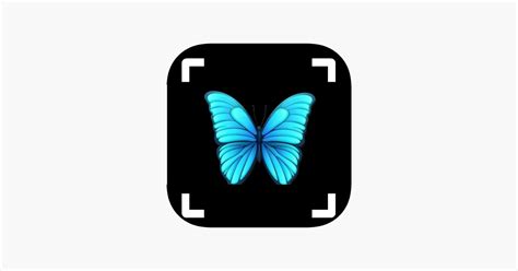 Image result for Moth Identifier