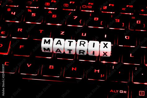Image result for Matrix Person Computer Grid