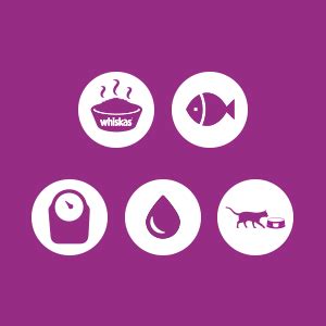 Whiskas Wet Cat Food, Tuna, Cod, Prawn & Salmon for Adult Cats - 400 g ...