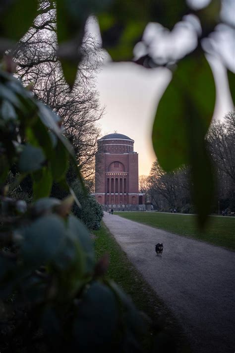 Chat GPT Wallpaper 4K 的图像结果