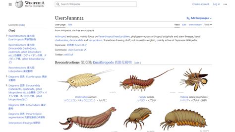 Image result for Image Gallery Using HTML CSS and JavaScript