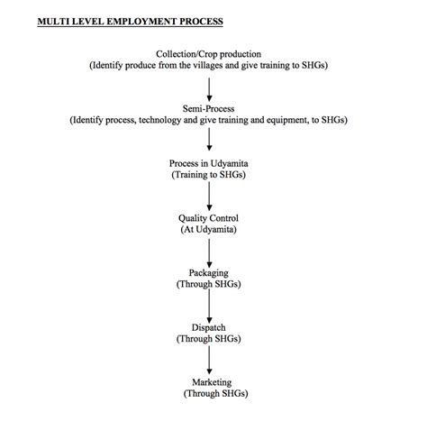 Multi Level Employment - Deendayal Research Institute