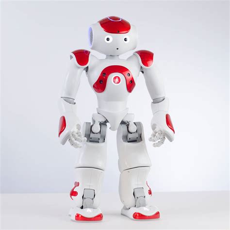 Nao Le Robot 的图像结果