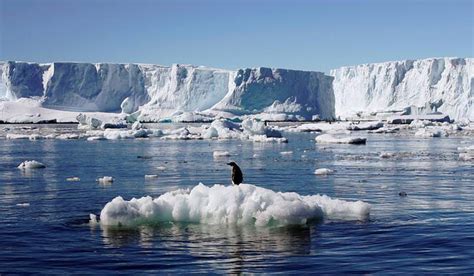 New phenomenon in Antarctica has cold water rising above hot ...