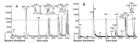Start a Research on Biopolymer Polyhydroxyalkanoate (PHA): A Review