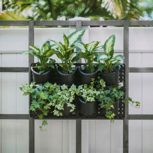 CAPPL Plastic Vertical Garden Wall Hanging Pot, (Black, Standard, 50 ...