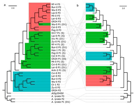 Population Genetics of the Highly Polymorphic RPP8 Gene Family