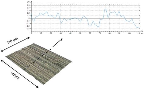 Effect of Shaft Surface Roughness on the Performance of Radial Lip Seals
