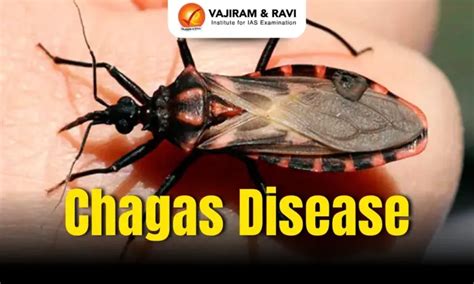 Chagas Disease, Causes, Symptoms, Treatment, Latest News