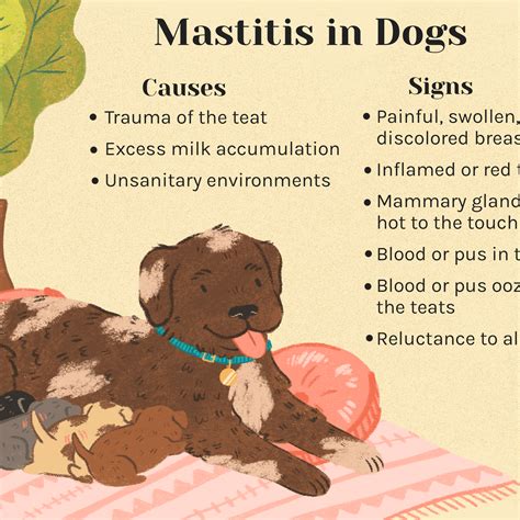 What Causes Gi Bleeds In Dogs at Paige Cremean blog