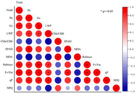 Plants | Special Issue : Cell Physiology and Stress Adaptation of Crops