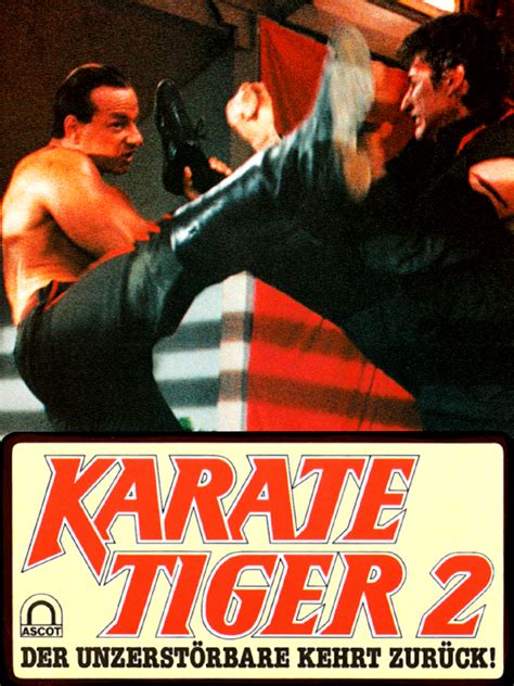 Prime Video: Karate Tiger 2