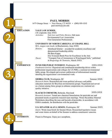 Law School Resume Tips + Examples: Ace Your Application!