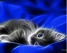 3d Wallpaper by 3d Abstract Wallpapers Hd A1 Wallpapers 3d Wallpaper