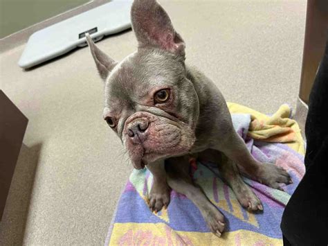 Bethany And Becca Nudes