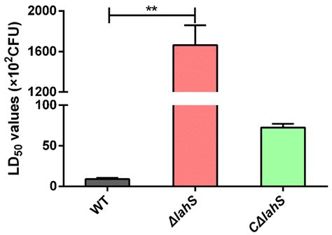 Discovery of lahS as a Global Regulator of Environmental Adaptation and ...