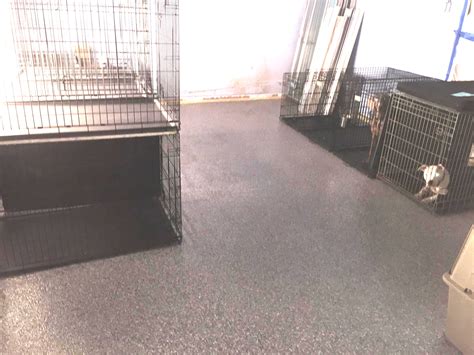 epoxy vinyl chip floor by Diamondkote Dog Kennel