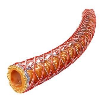 Artery Vein Blood Vessel Medical Illustration, Artery, Vein, Blood PNG ...