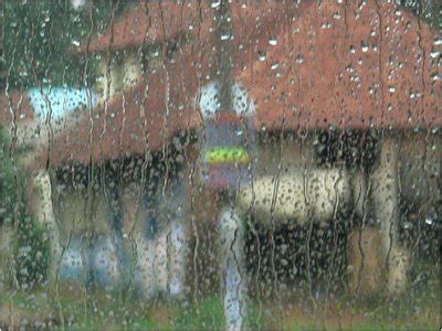 DAYLIGHT AGAIN: RAIN IN KERALA