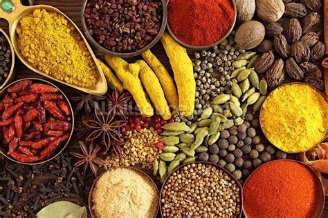 Indian Cuisine Cookery Course - March, The Edergole Kitchen, Dromahair ...