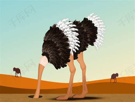 不能飞的鸵鸟如何单靠一双大长腿在非洲草原撑起强悍战斗力，它们经历了怎样的进化过程？ - 知乎