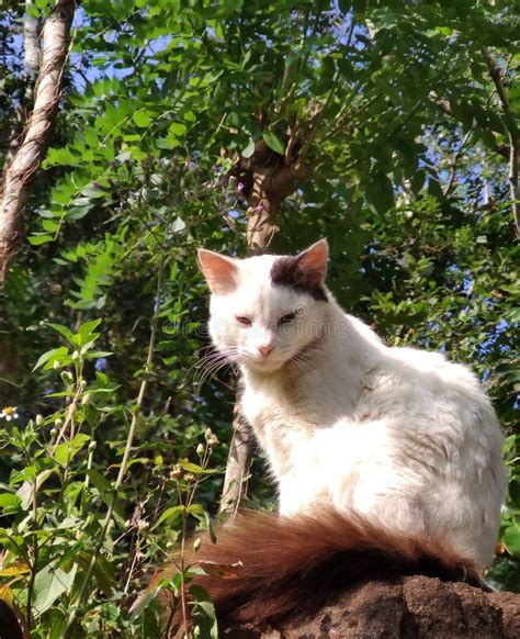 Nature Undefined Edge 的图像结果