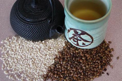 Barley Tea Recipe - Food.com